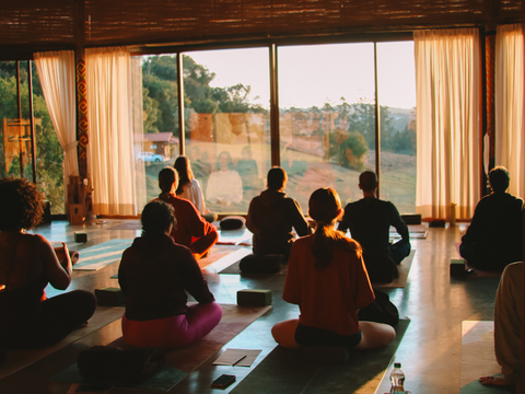 Os cinco Vrttis - as flutuações da mente