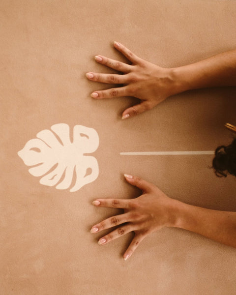 Matosha | Guia Monstera